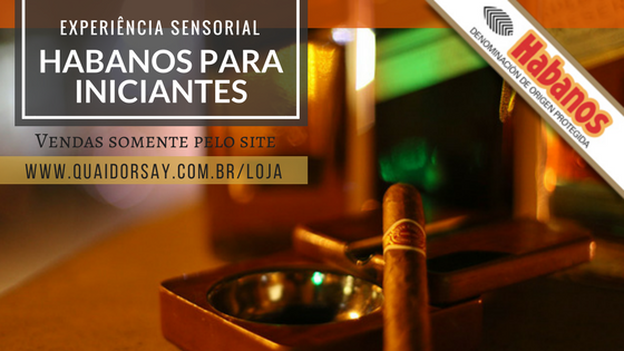 HABANOS PARA INICIANTES PROMO WP