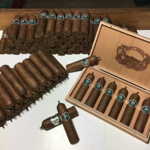 MP DINAMITE 4x60 2018 00005